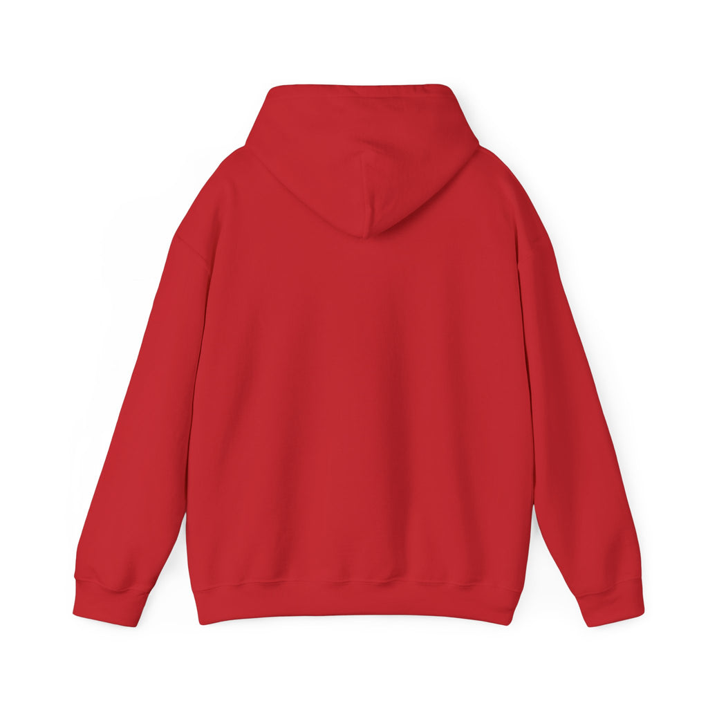 Humorous Unisex Hoodie- Attempted Murder Design