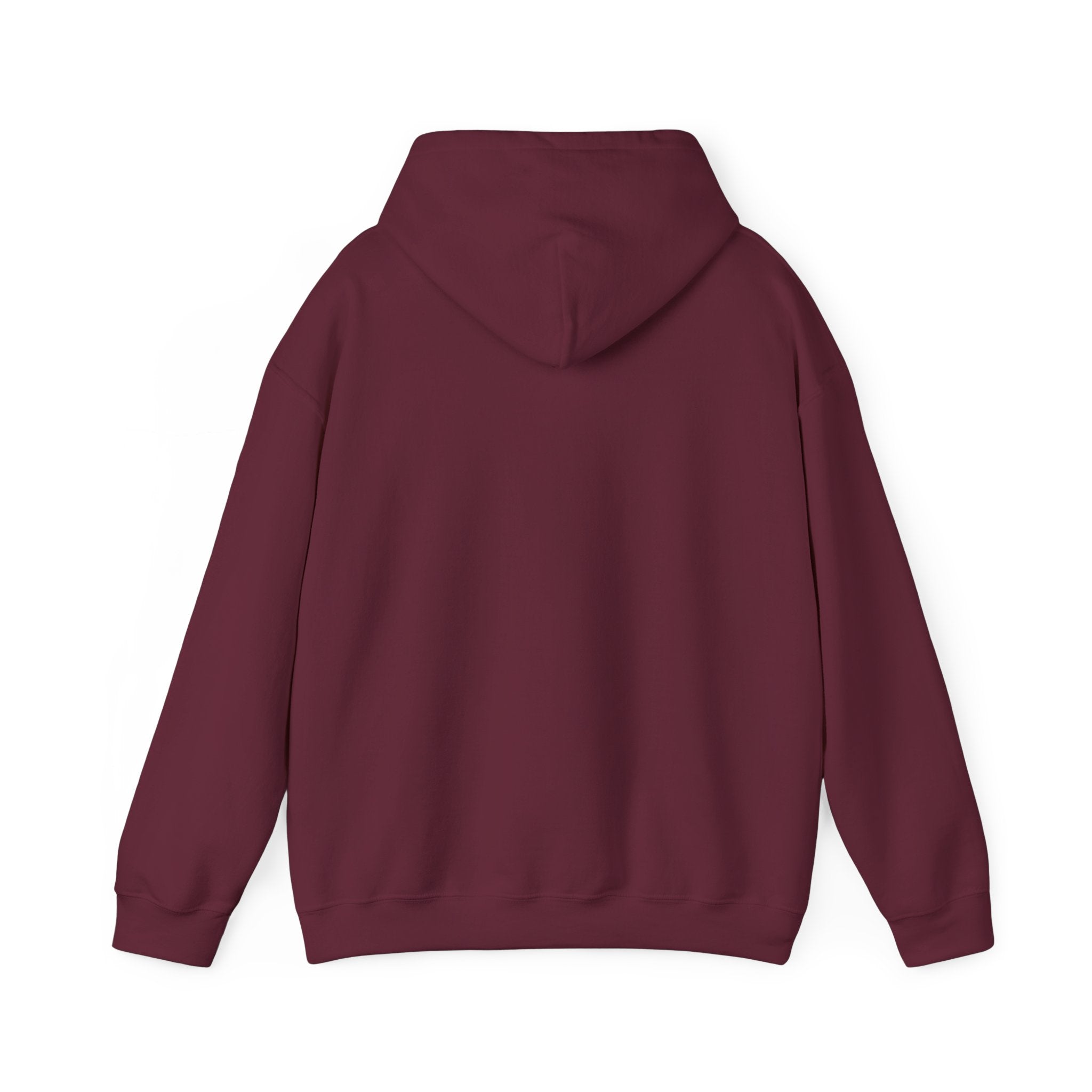 Humorous Unisex Hoodie- Attempted Murder Design